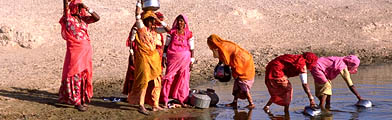 Image: Women in Gujarat collecting water from a pond.